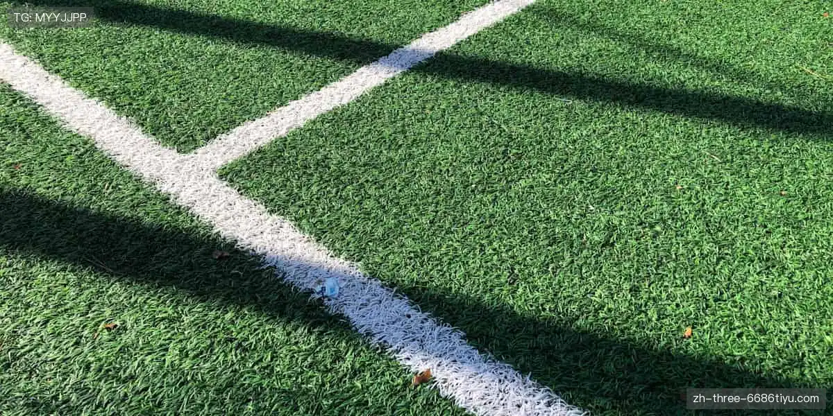 突破极限,成就荣耀!🏆